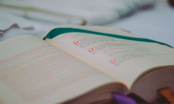 Señor, ¿a quién vamos a ir? Sólo tú tienes palabras que dan vida eterna