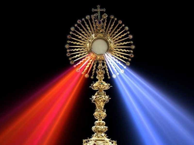 “¡Señor mío y Dios mío!” Domingo de la misericordia