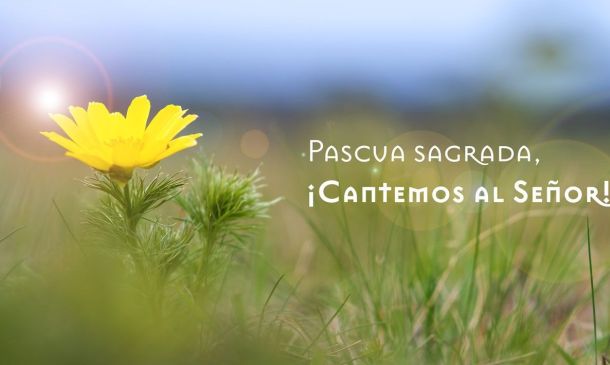 Hojas Guadalupenses en la Pascua del Señor