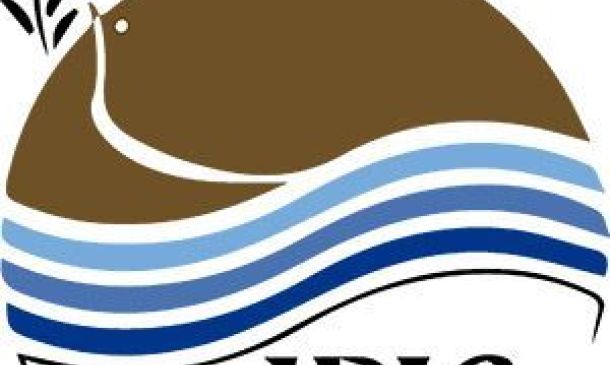 Carta a los hermanos de la Provincia.