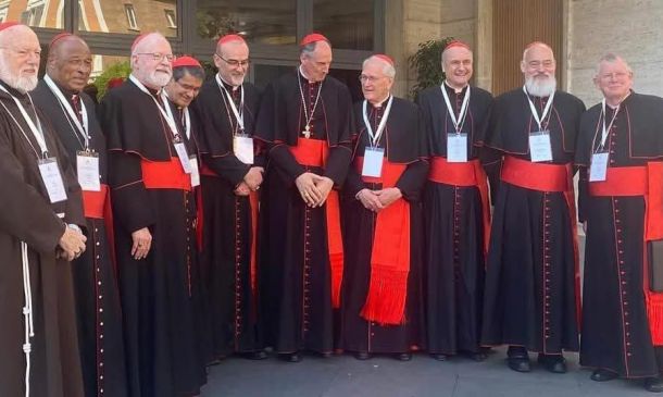 Los Cardenales electores de la Familia Franciscana
